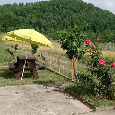 Rifugio Escursionistico Ex-scuola Grassi, Hostel