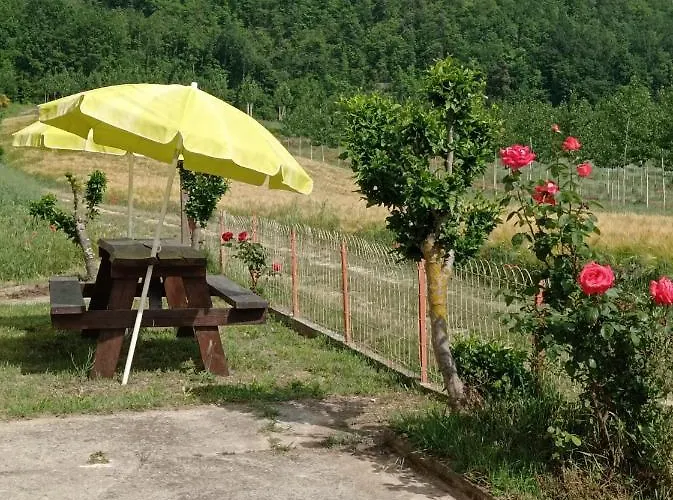 Rifugio Escursionistico Ex-scuola Grassi, Hostal